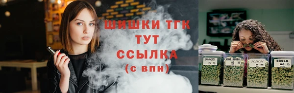 гидра Алексеевка