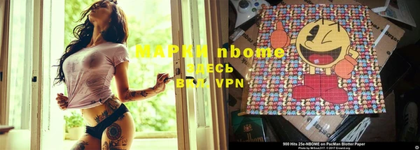 гидра Алексеевка